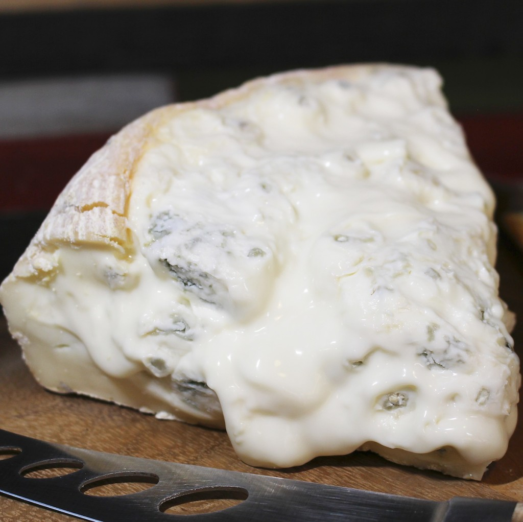 Cheese- Gorgonzola DOlce
